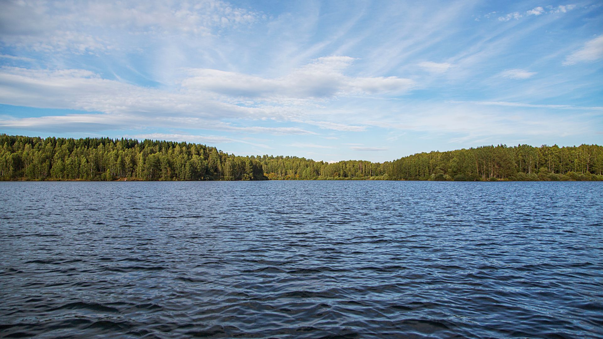 The floating islands on Vlasina lake