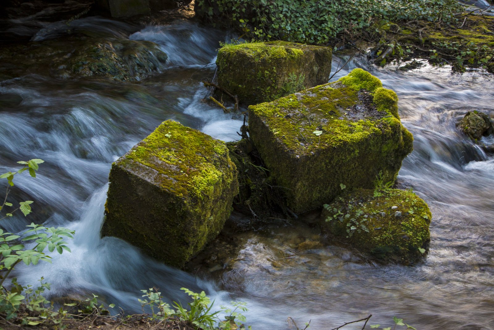 Vrelo River – The River of a Year