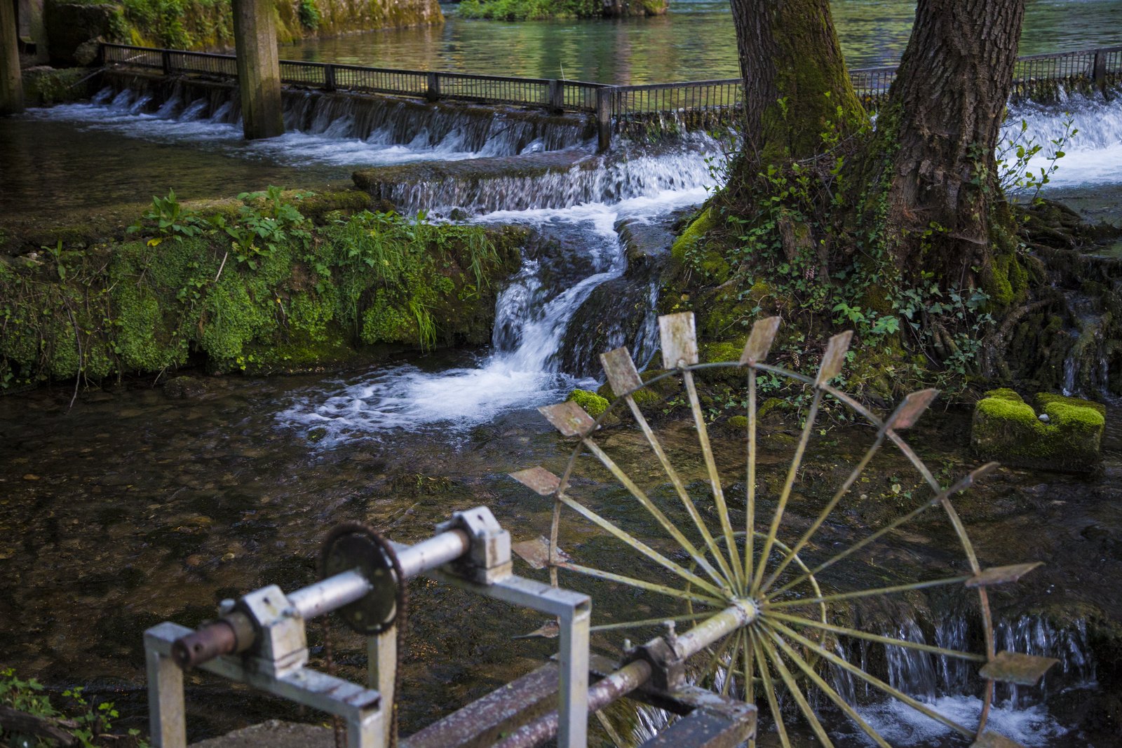 Vrelo River – The River of a Year